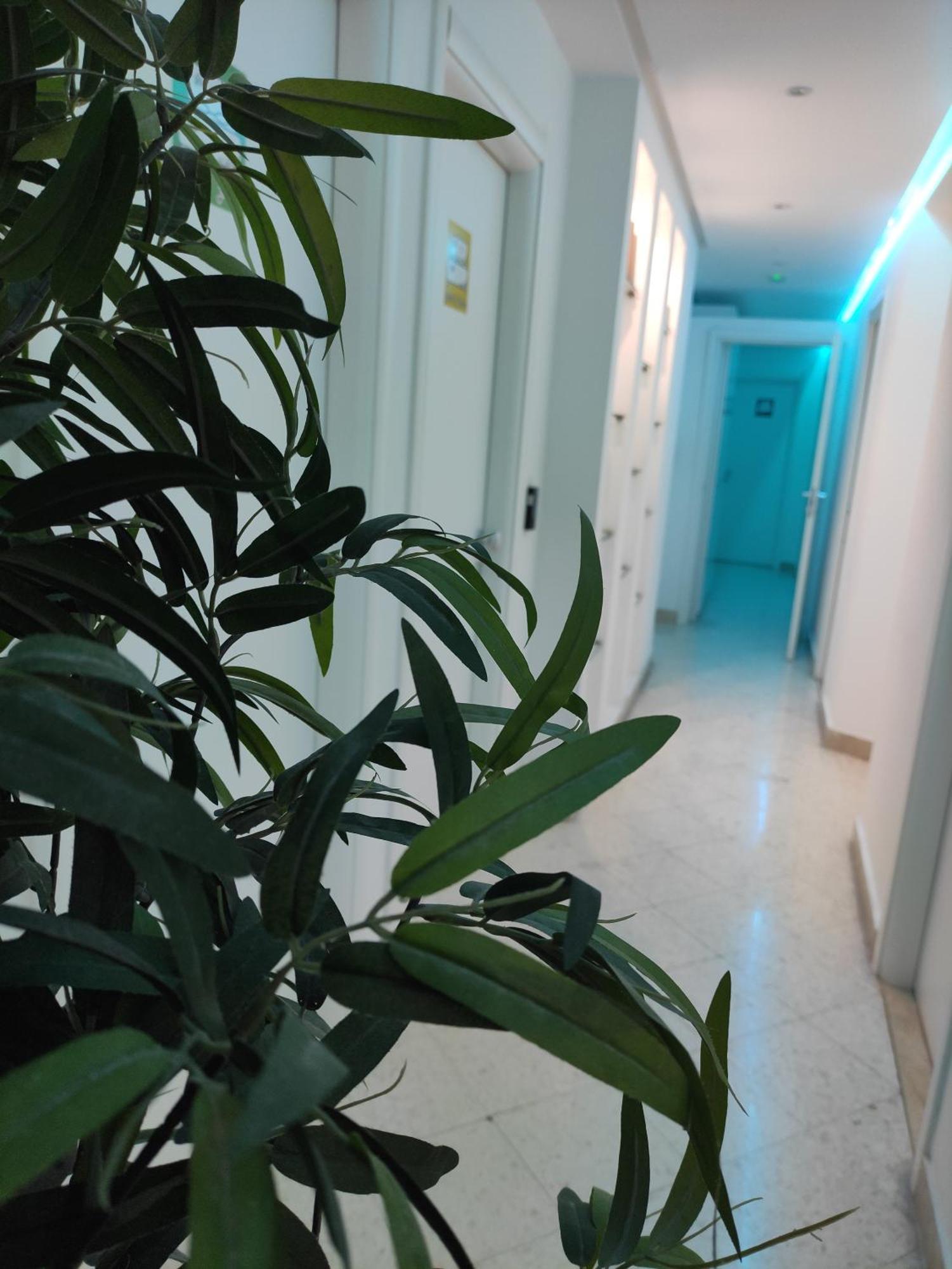 Palermo Central B&B ภายนอก รูปภาพ